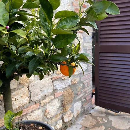 Bed & Breakfast Casale Gregoriano And 2*