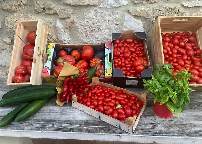 Casale Gregoriano Bed & Breakfast